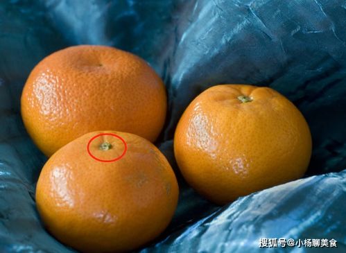 橘子上面有個(gè)小機(jī)關(guān)，甜不甜一眼就識(shí)破，不懂的人趕快學(xué)起來(lái)！