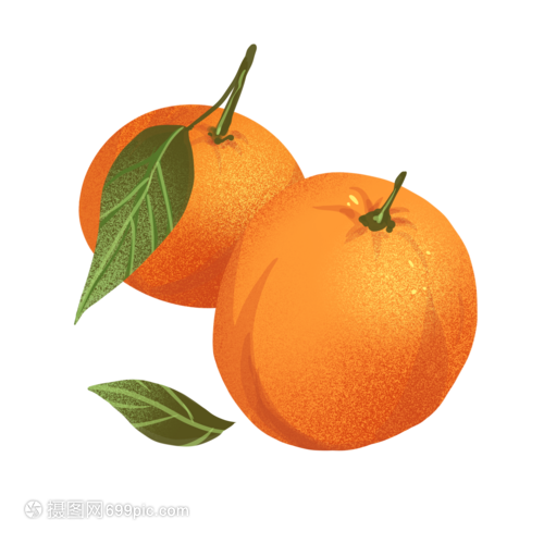 橘子的柔軟與堅(jiān)強(qiáng)